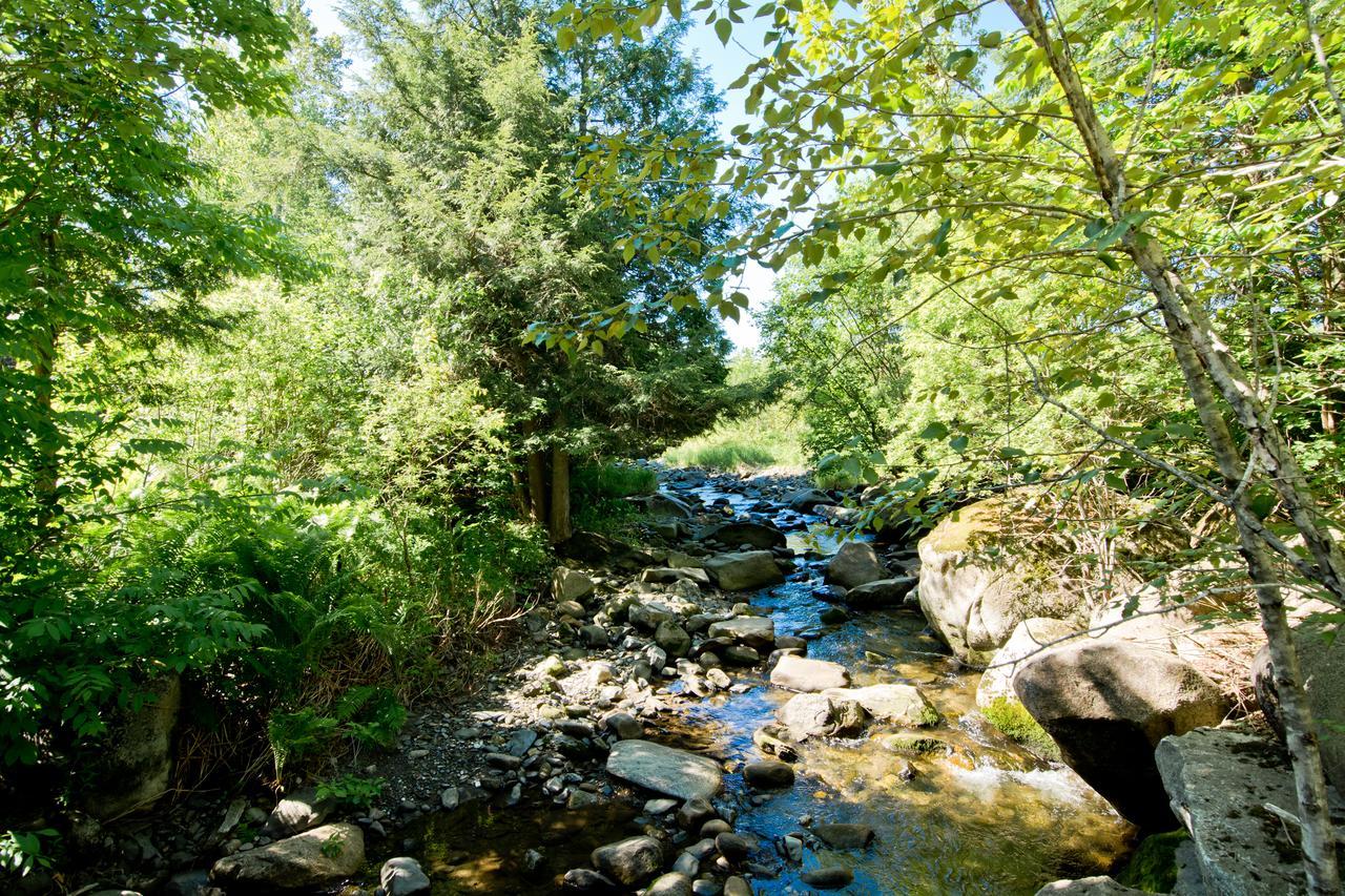 Camping Chalets Spas Pignons Rouges Saint Romain Buitenkant foto