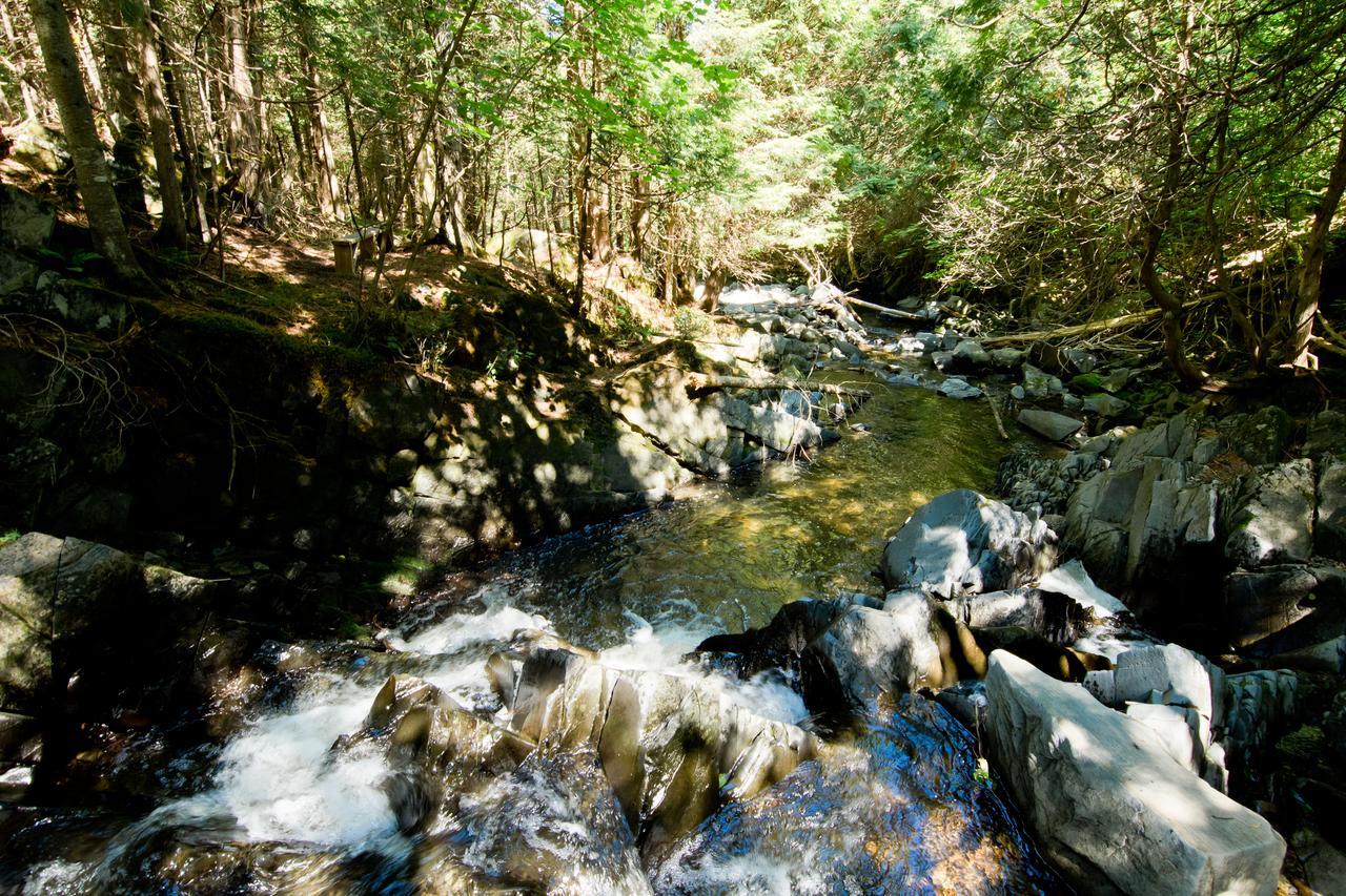 Camping Chalets Spas Pignons Rouges Saint Romain Buitenkant foto